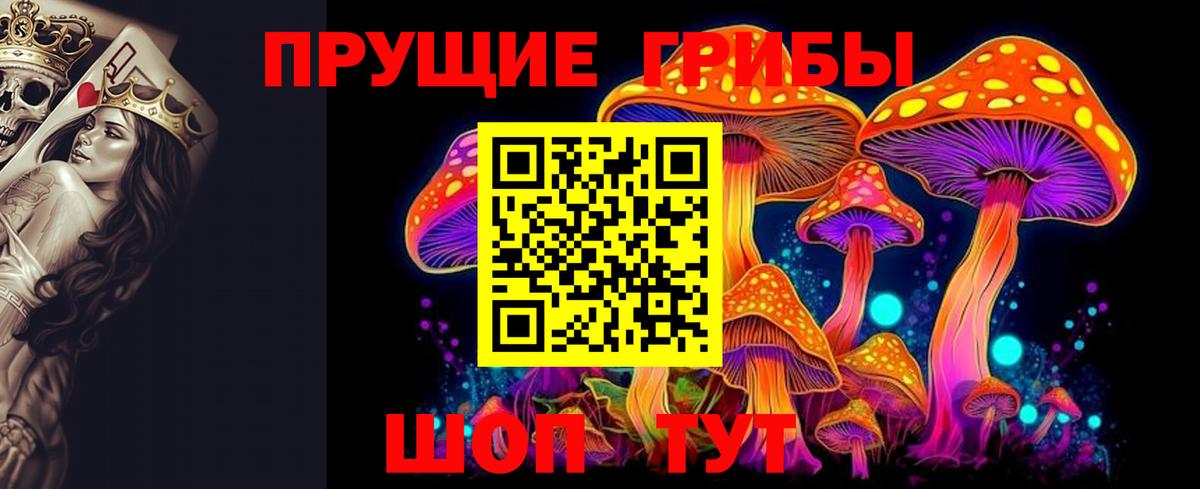 Донецк  Псилоцибиновые грибы мухоморы  Галлюциногенные грибы MAGIC MUSHROOMS  Вход с VPN 