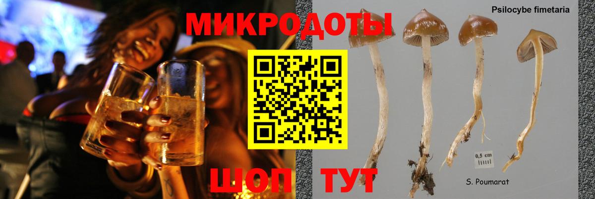 Галлюциногенные грибы прущие грибы Донецк
